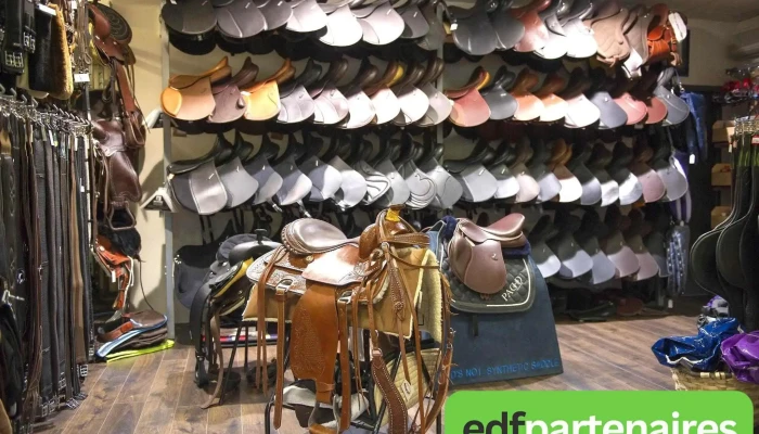 Padd Biarritz -  Interieur - Bidart