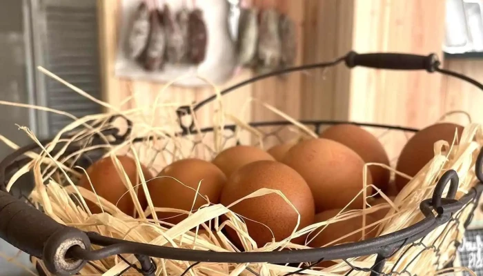 Papa Poule Ares -  Tout - Arès