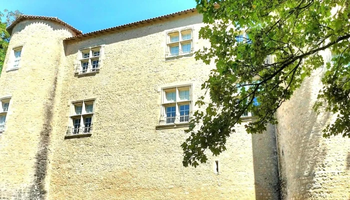Parc Du Chateau Dayron Reductions - Ayron
