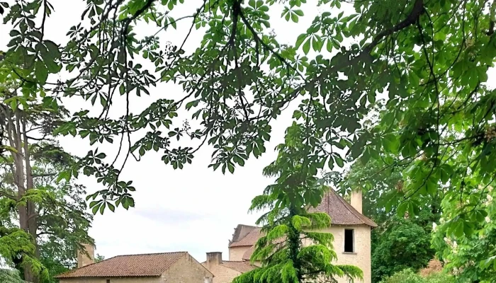 Parc Du Chateau Dayron Videos - Ayron