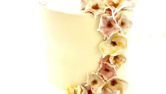 Patissao -  Plats Et Boissons - Castelnau-de-médoc