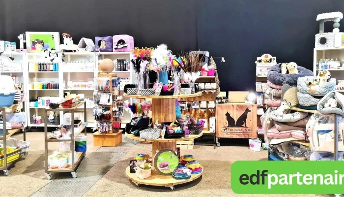 Pet Beauty Store -  Interieur - Angliers