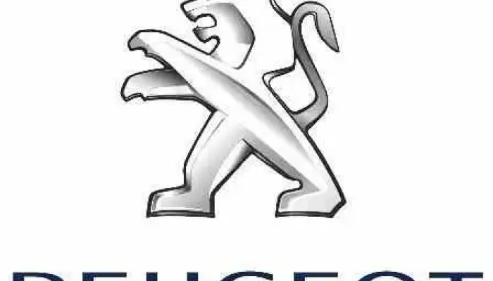 Peugeot - Garage Ferran - Coarraze