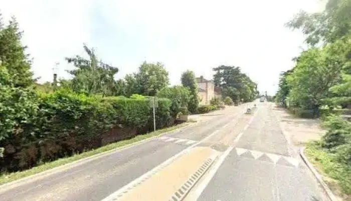 Pollen De Pin Bio -  Street View Et 360deg - Saint-léger