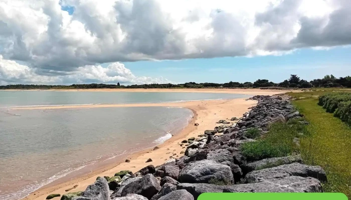 Port Du Douhet -  Les Plus Recentes - Saint-georges-d'oléron