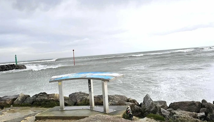 Port Du Douhet -  Port De Plaisance - Saint-georges-d'oléron