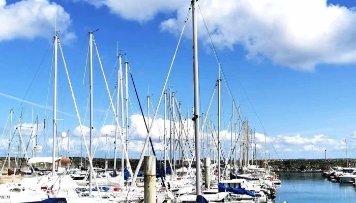 Port Du Douhet -  Tout - Saint-georges-d'oléron