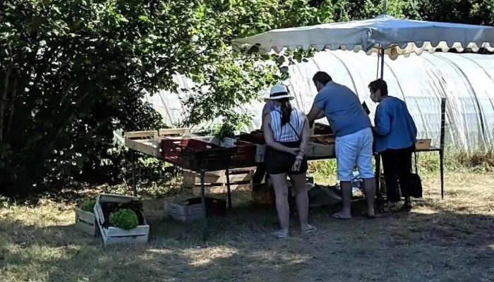 Producteur Légumes - 17550 Dolus-D'Oléron