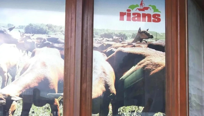 Rians -  Ouvert Maintenant - Saint-astier