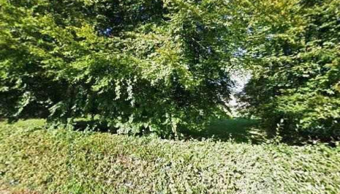 Sarl Jm Labrot Dacia -  Tout - Arnac-pompadour