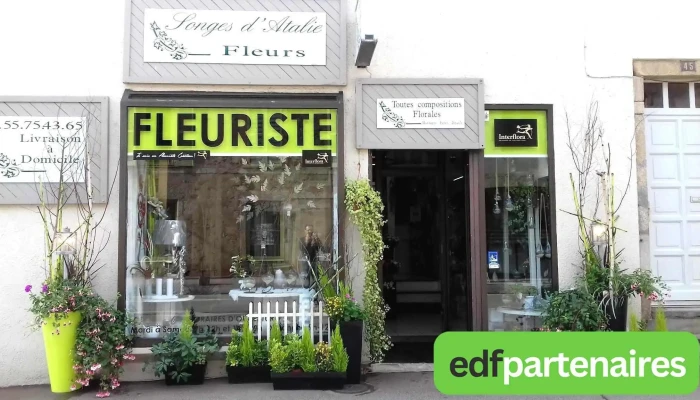 Songes Datalie Photos Du Proprietaire - Aixe-sur-vienne