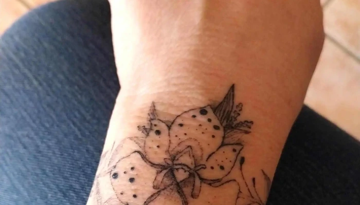 Sophie Art Tattoo -  Emplacement - Andilly