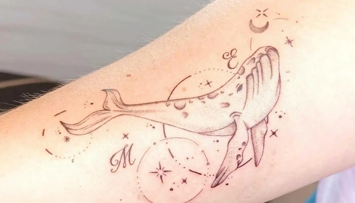 Sophie Art Tattoo -  Photos Du Proprietaire - Andilly