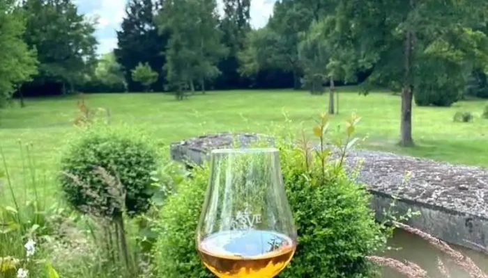 Sve Distillerie de Chevanceaux - Saint-Palais-De-Négrignac