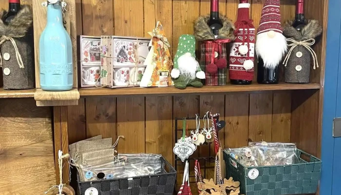 The Cozy Cup - 87190 Magnac-Laval