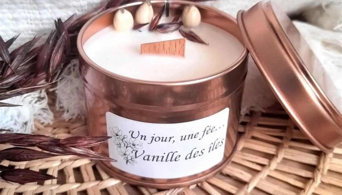Un Jour Une Fee Tout - Audenge