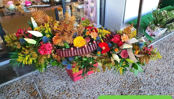 Un Jour, Une Fleur. - 32 Rte De Tarbes