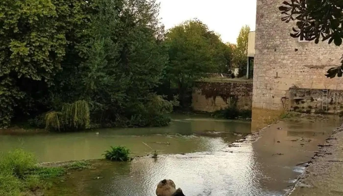 Val De Gascogne -  Tout - Astaffort
