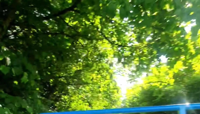 Velorail De Chauvigny Attraction Touristique - Chauvigny