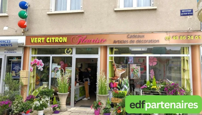 Vert citron - 86270 La Roche-Posay