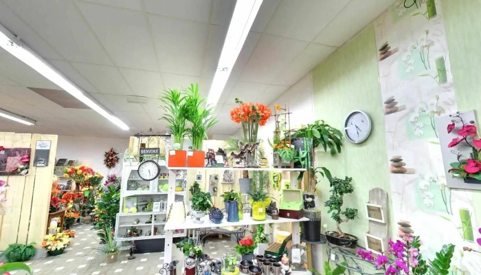 Volupte Florale Tout - Brioux-sur-boutonne