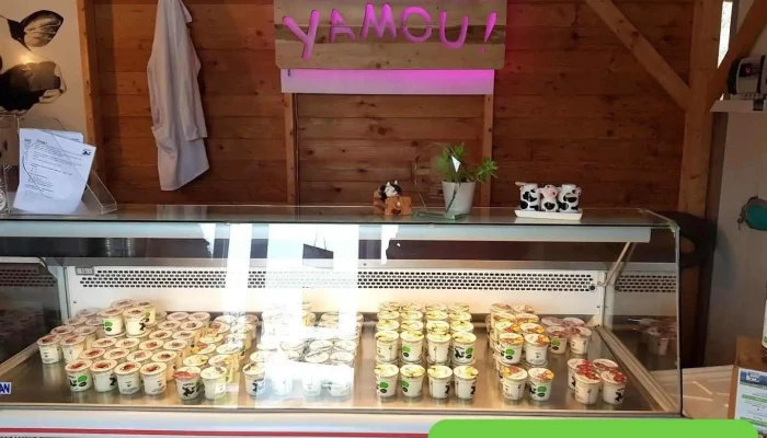 Yamou - Amou