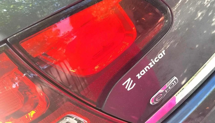 Zanzicar Bordeaux -    Parot Ou - Bruges