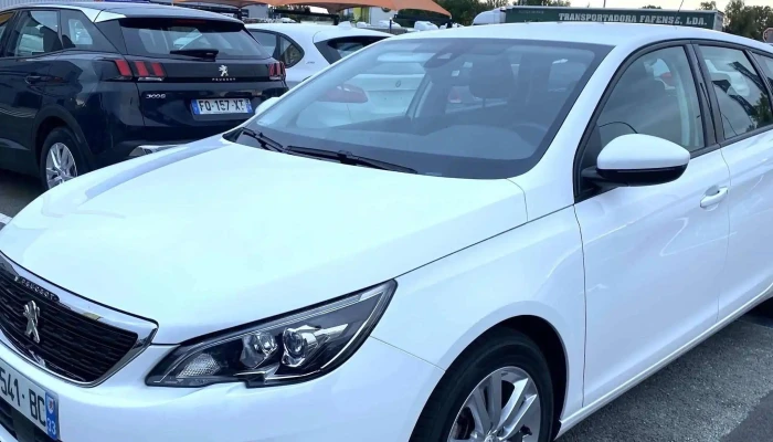 Zanzicar Bordeaux -    Parot Promotion - Bruges