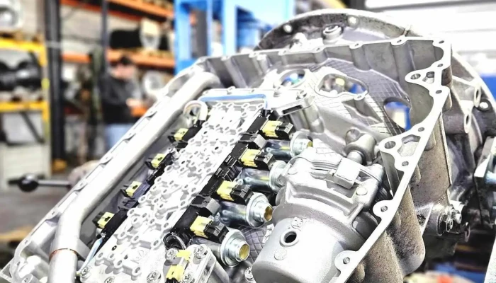 Zf Bordeaux -    Parot Interieur - Bruges